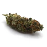 Black Lemon Breath (AAA)