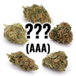 1 Pack Mystery Strain (AAA)