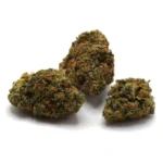 Scotty 2 Hotty (AAA)